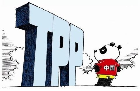 中国参加tpp会议(来源：龙讯财经）